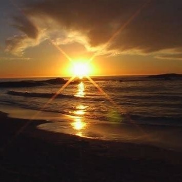 Meet your Posher, George - Picture 1 of 1